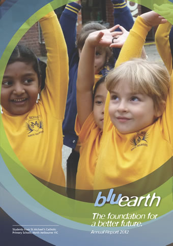 Bluearth Annual Report 2017