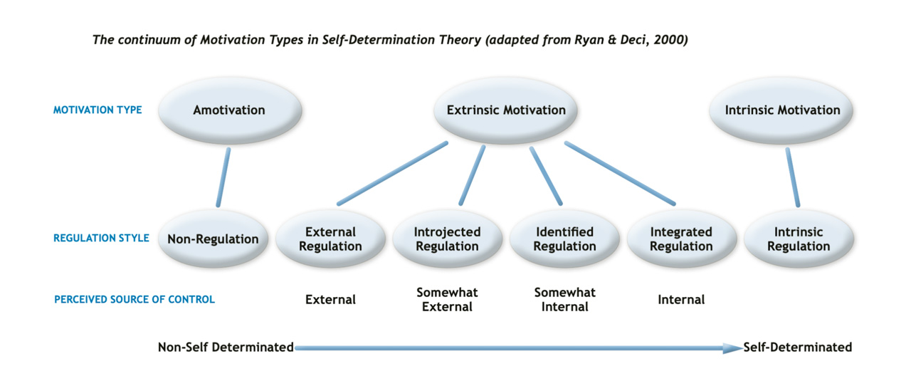 The continuum of Motivational Types in Self-Determination Theory